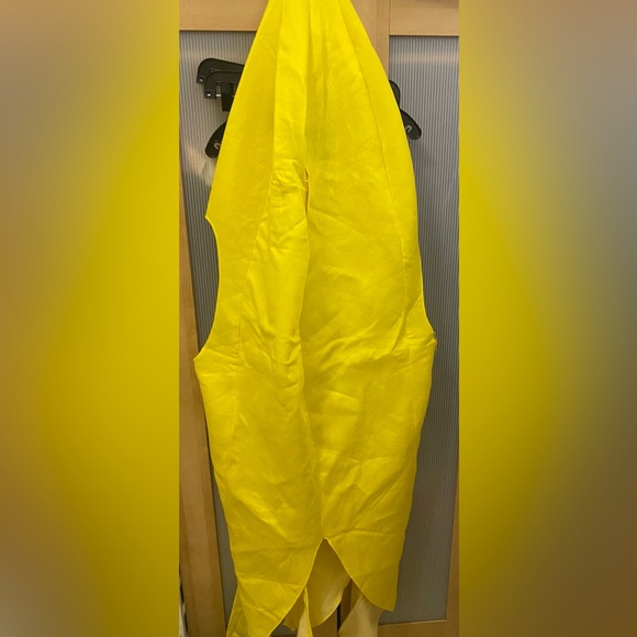 Banana Flasher Costume size OS - Picture 9 of 15